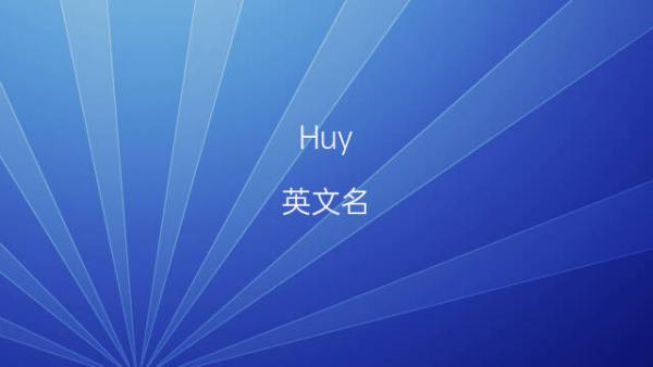 huy huy是什么意思 