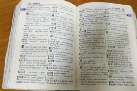 dictionary是什么意思