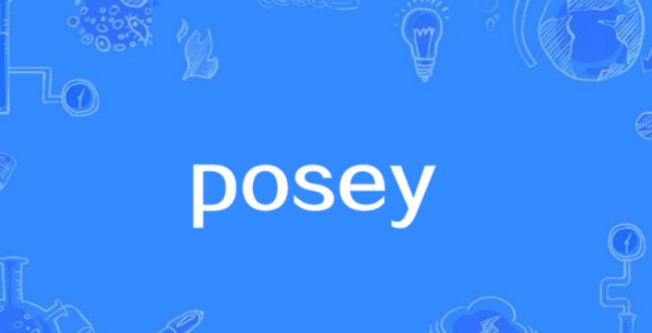 POSEY posey是什么意思 