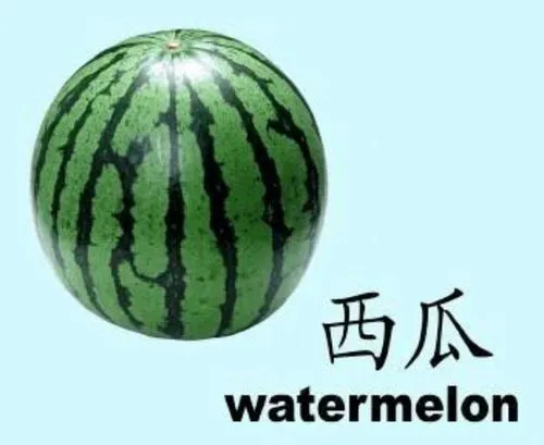 watermelons是什么意思 watermelon是什么意思？ 