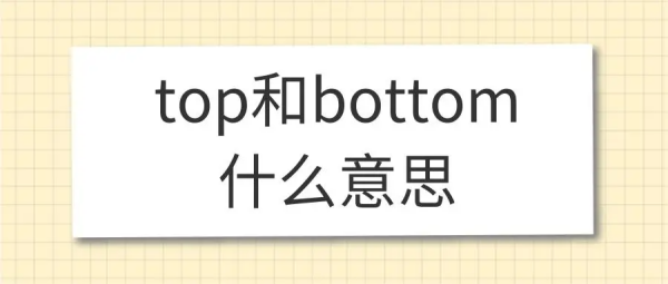 bottom是什么意思啊 bottom是什么意思啊 