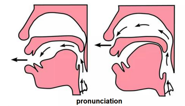 pronunciation 发音用英语怎么说（发音是名词） 