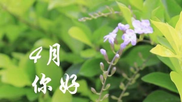 april是几月份 april是几月 