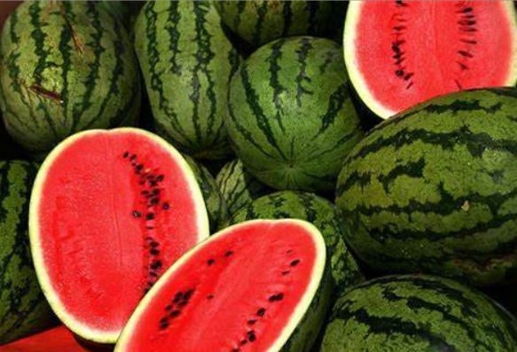 watermelon可数吗 watermelon可数还是不可数? 