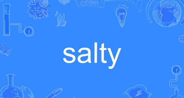 salty是什么意思 salty是什么意思 