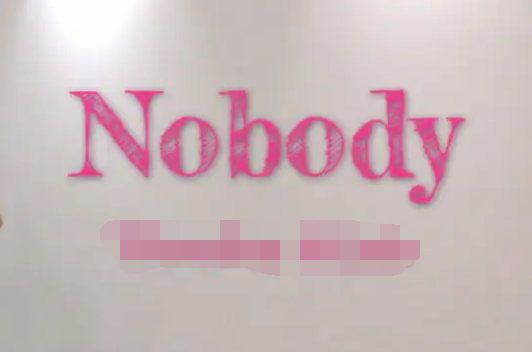 NOBODY的意思 nobody什么意思 