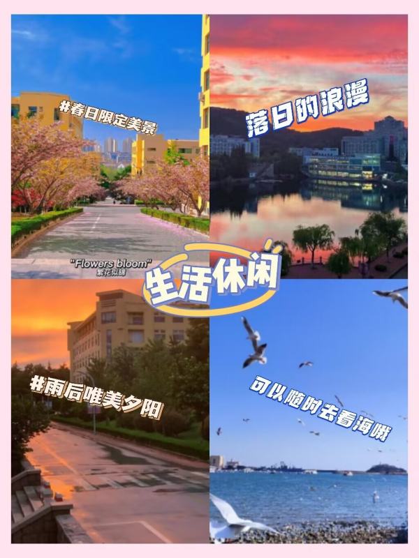 青岛大学是211吗