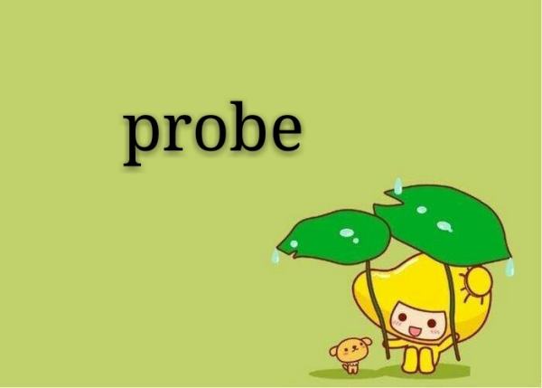 probe probe是什么意思 