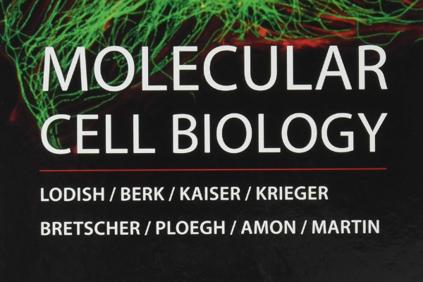 biology是什么意思 生物的英文biology 