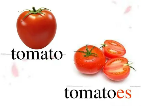 tomato的复数形式_ tomato的复数形式是什么? 