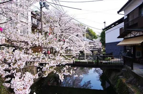 日本留学流程_ 孩子想去日本留学有哪些程序 