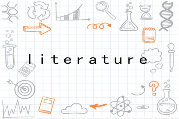 literature literature什么意思 