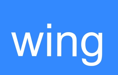 wing是什么意思 wing是什么意思 