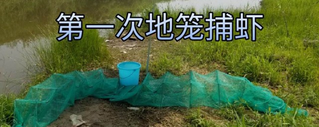 地笼捕虾怎么下才是正确的 地笼捕虾技巧 