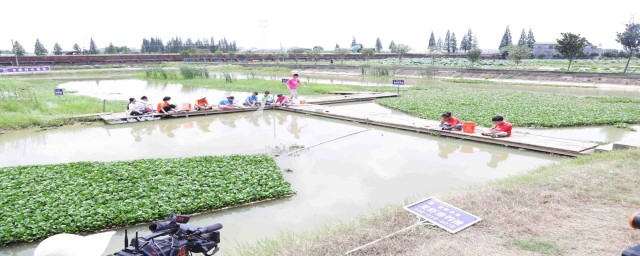 小龙虾养殖池建设图片 小龙虾养殖池怎么建 